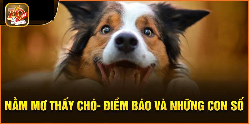 Ý nghĩa chi tiết của giấc chiêm bao thấy chó