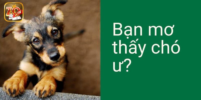 Mơ thấy bị chó tấn công