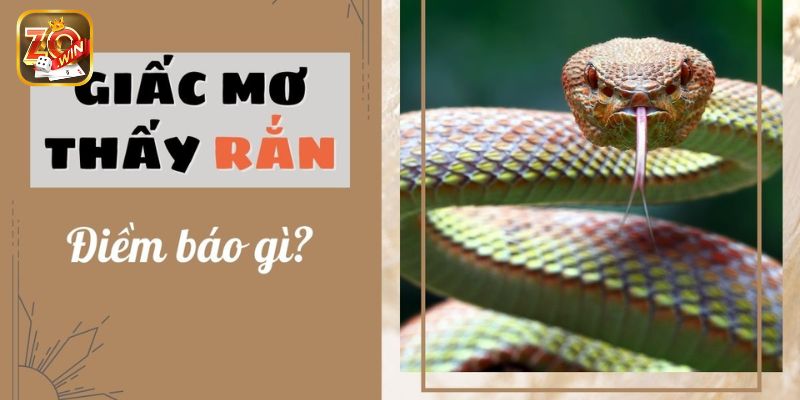 Mơ thấy rắn đuổi theo mình