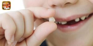 Mơ Thấy Răng Rụng - Con Số Nào May Mắn Cho Anh Em Nhanh Giàu