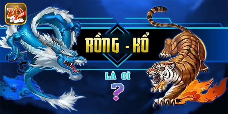 Vài nét cơ bản anh em cần nắm về rồng hổ