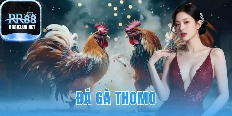 đá gà thomo